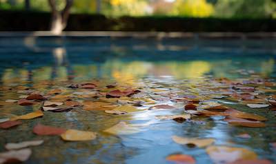 Laub in einem Gartenpool