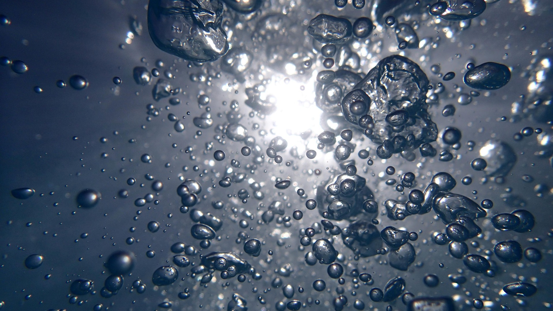 Handy in den Pool gefallen: So rettest du Gerät und Daten auf gartenpoolvergleich.de